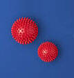 Immagine: Coronavirus