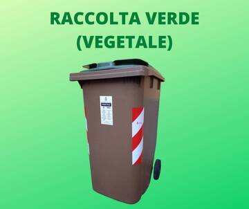 Servizio Raccolta Verde e Calendario Rifuti Aggiornato