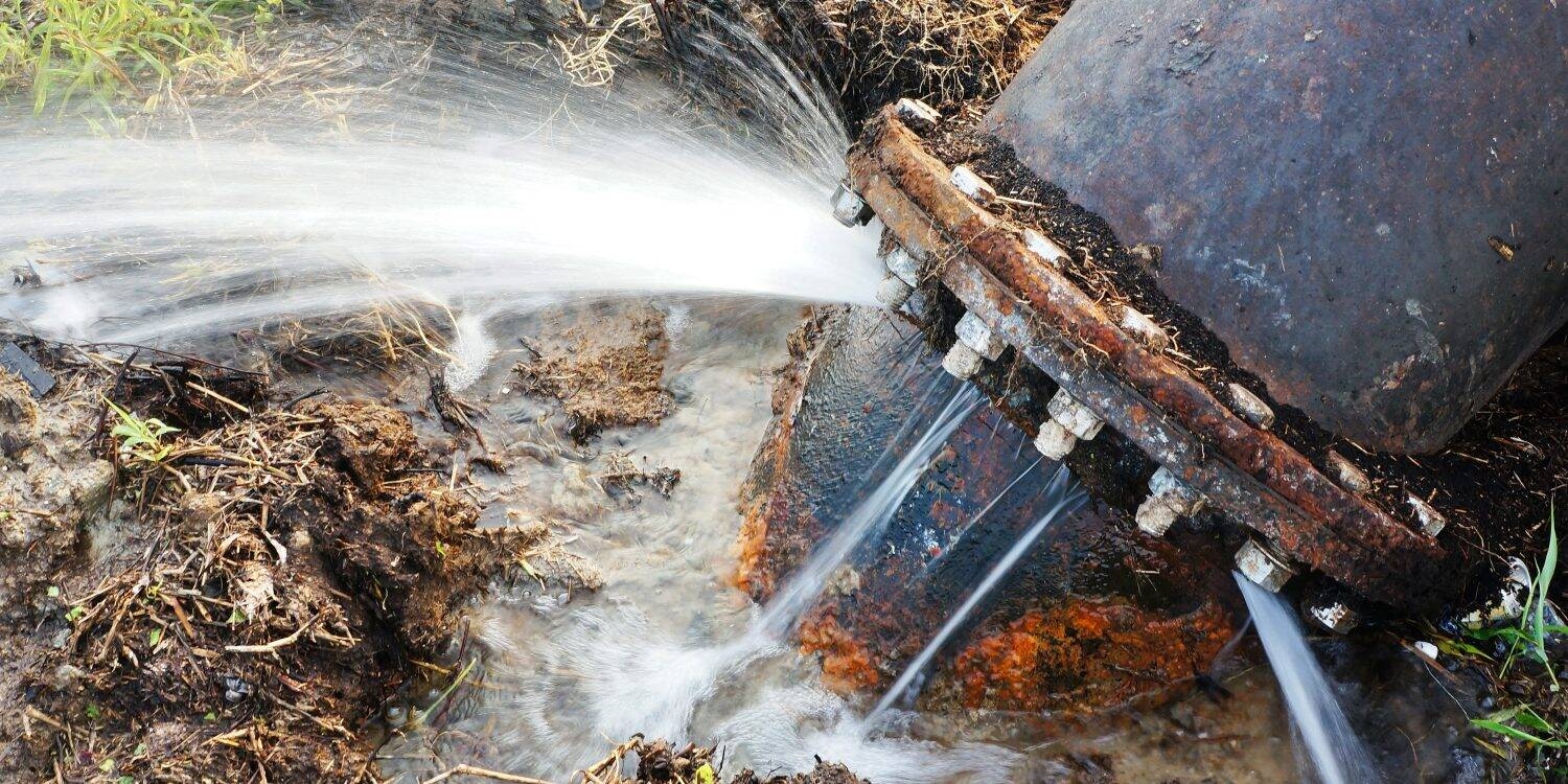 Immagine: cq5dam.thumbnail.1500.750