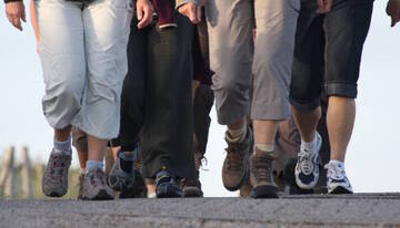 Gruppo di cammino "Cammina insieme a noi e porta chi vuoi"