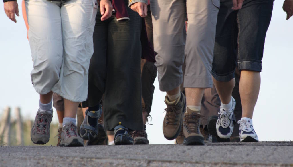 Immagine: gruppo_cammino