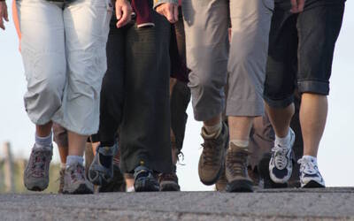 Immagine: gruppo_cammino