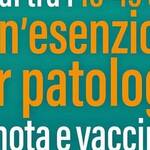 Immagine: Immagine (5)