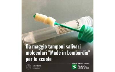 Immagine: Immagine (6)