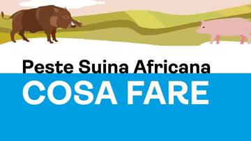 Informativa su Peste Suina Africana