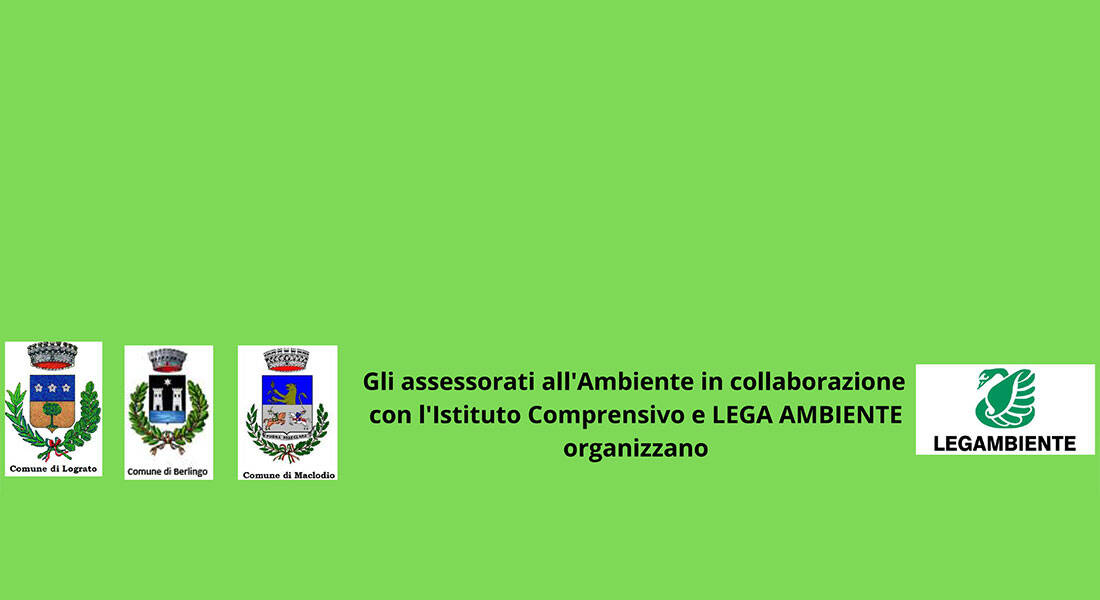 Immagine: puliamo-berlingo2