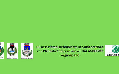 Immagine: puliamo-berlingo2