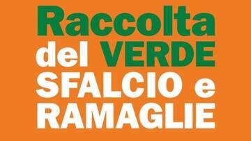 RACCOLTA DEL VERDE