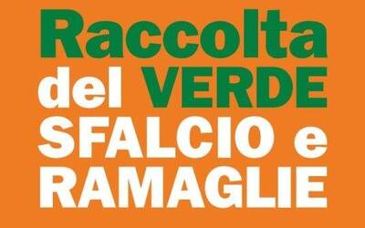Immagine: raccolta-del-verde