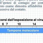 Immagine: WhatsApp Image 2022-01-05 at 07.49.48 (2)